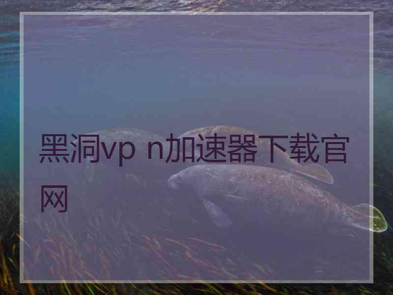 黑洞vp n加速器下载官网