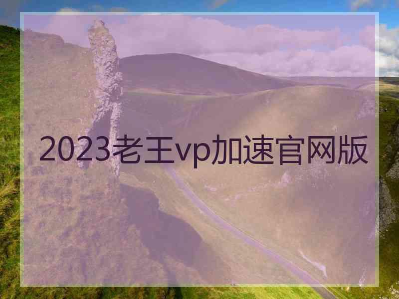 2023老王vp加速官网版