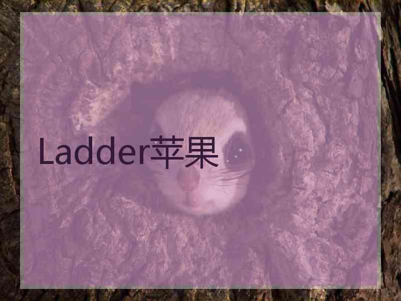 Ladder苹果