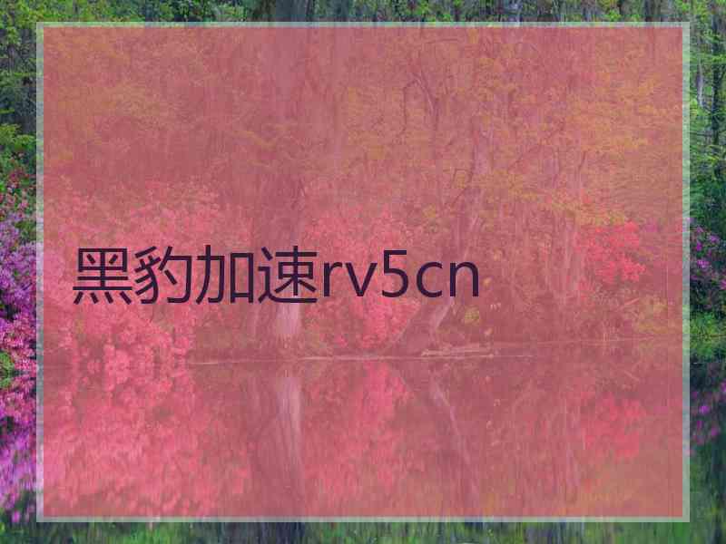 黑豹加速rv5cn