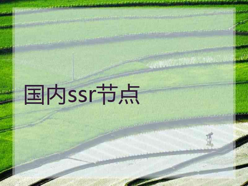 国内ssr节点