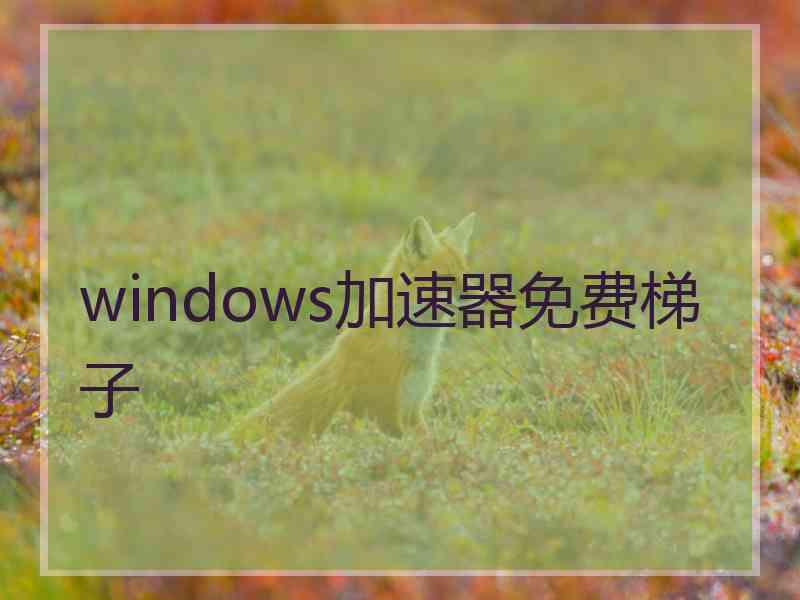 windows加速器免费梯子