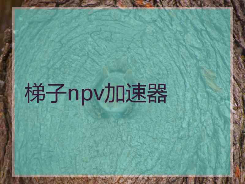 梯子npv加速器