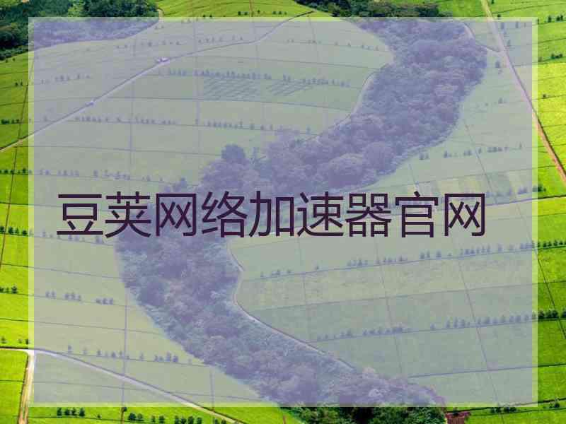 豆荚网络加速器官网