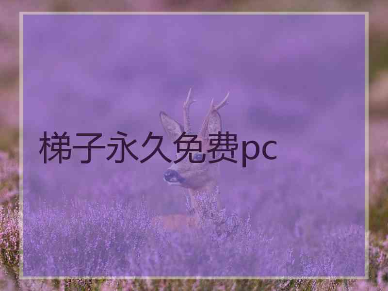 梯子永久免费pc