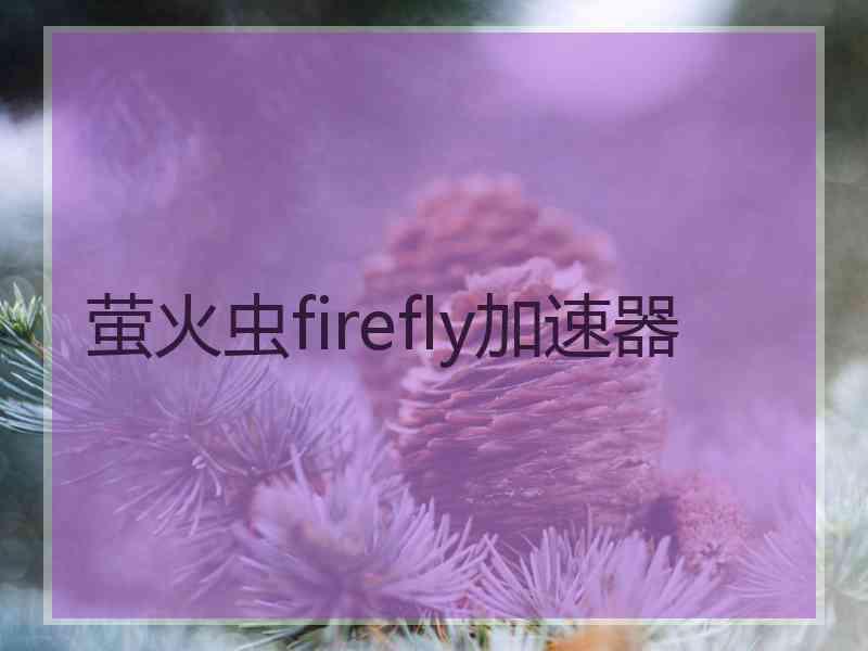 萤火虫firefly加速器