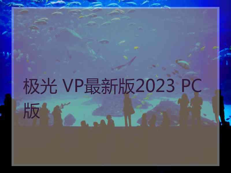 极光 VP最新版2023 PC版