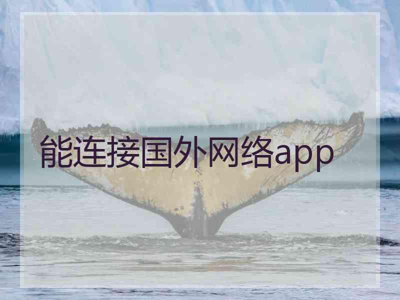 能连接国外网络app