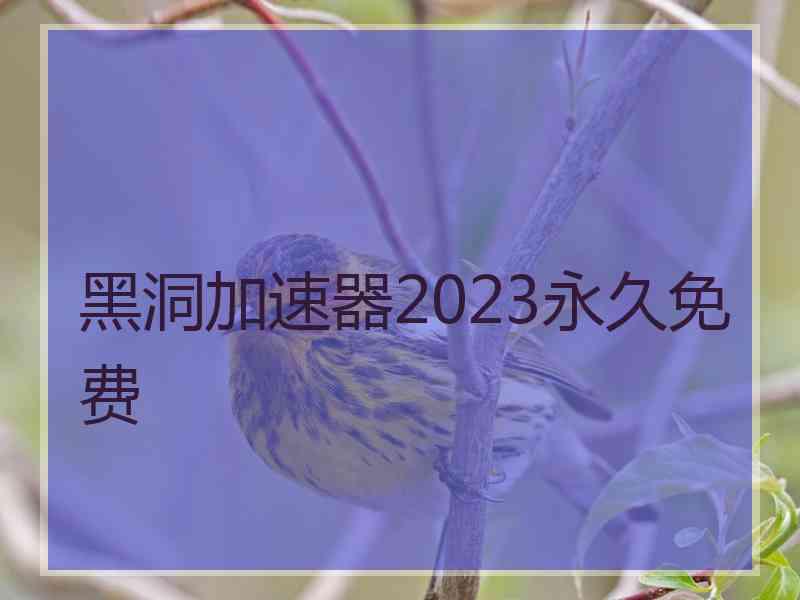 黑洞加速器2023永久免费