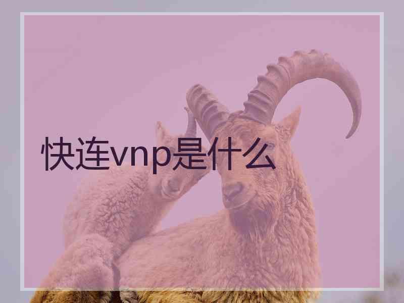 快连vnp是什么