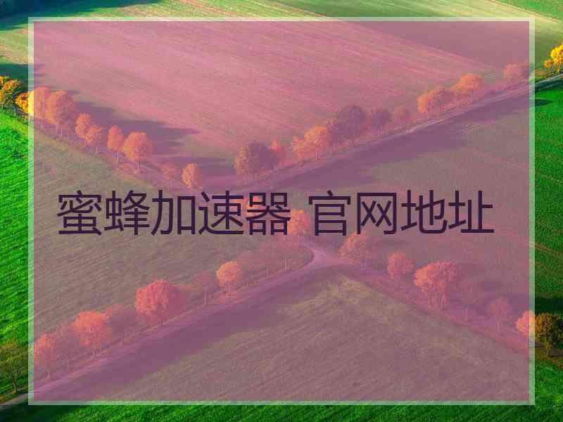 蜜蜂加速器 官网地址