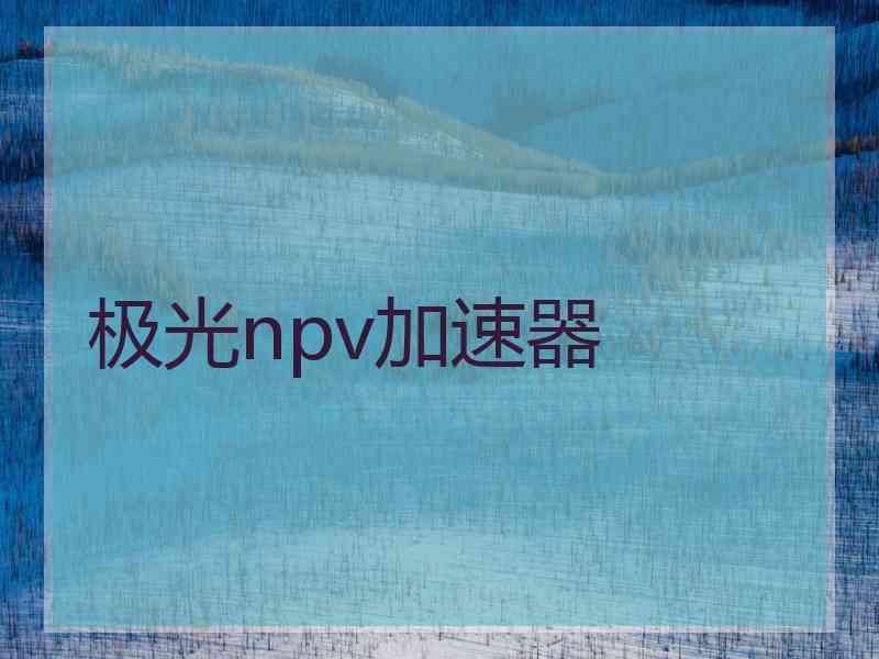 极光npv加速器