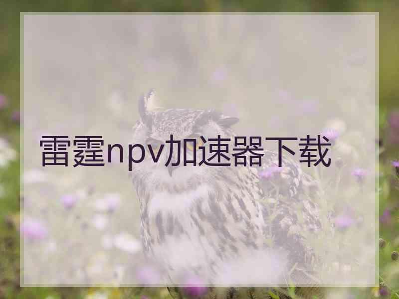 雷霆npv加速器下载