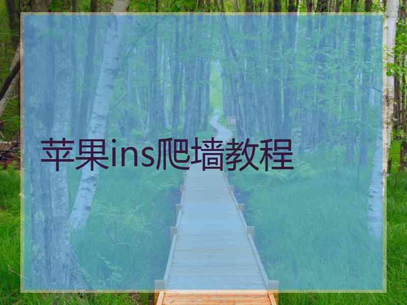 苹果ins爬墙教程