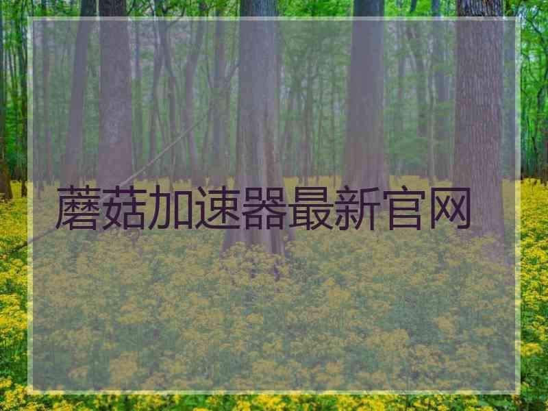 蘑菇加速器最新官网