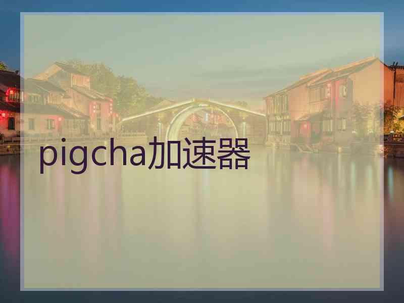 pigcha加速器